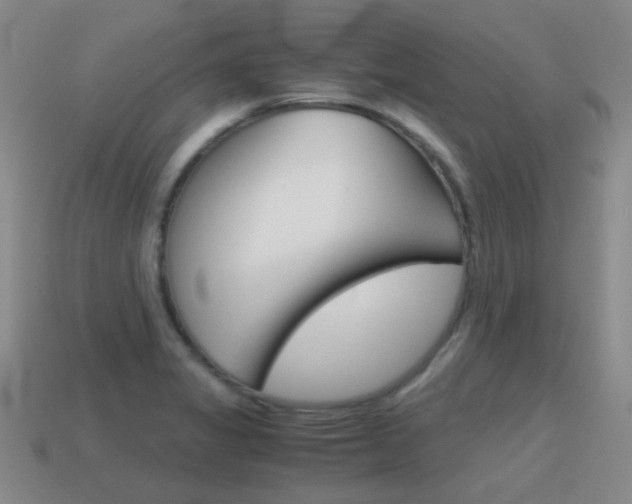 X0000115601325200911100944