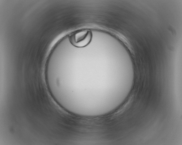 X0000115601326200911100944