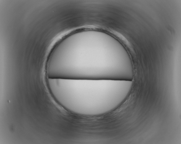 X0000115601327200911100944