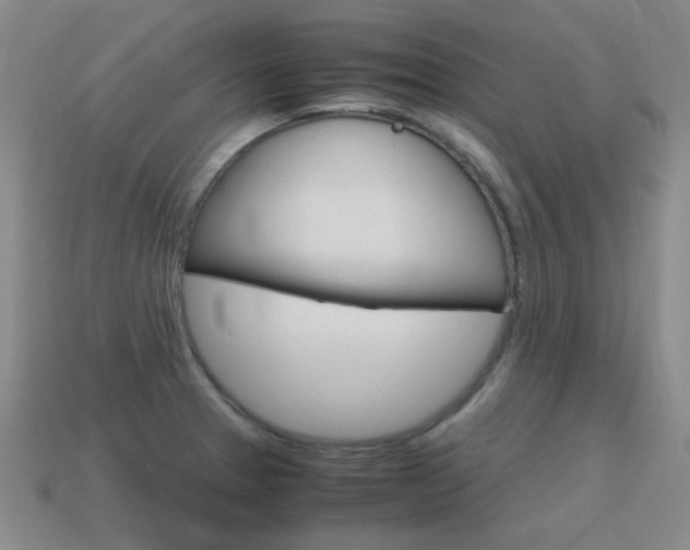 X0000115601329200911100944