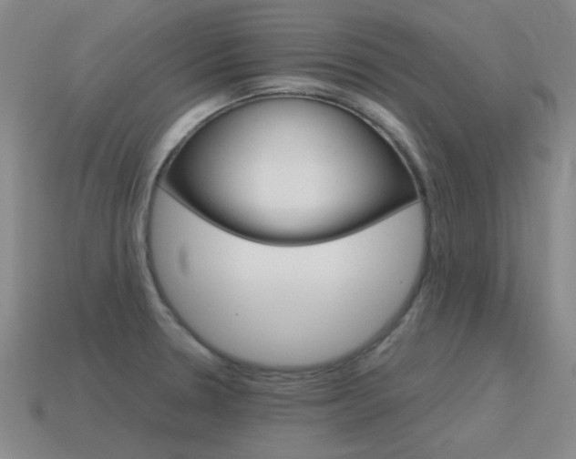 X0000115601330200911100944