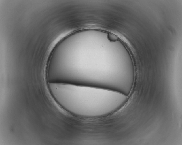X0000115601333200911100944