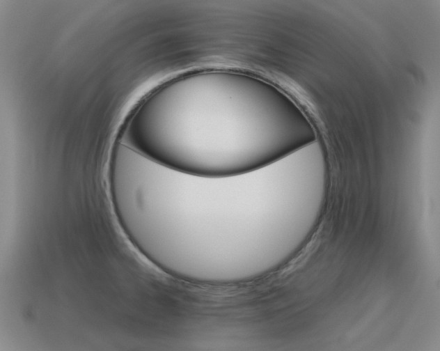 X0000115601334200911100944