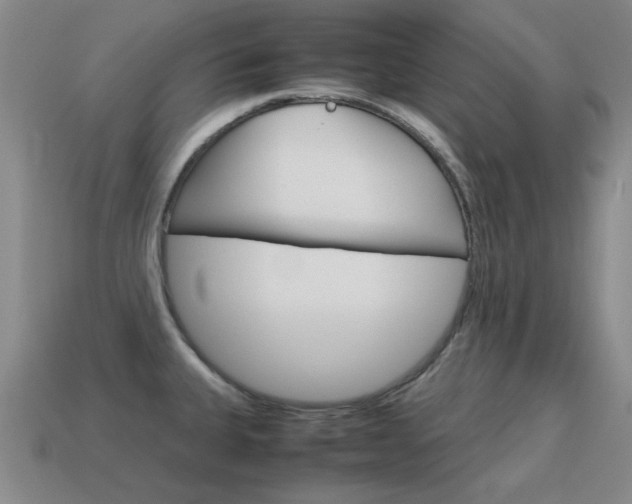 X0000115601335200911100944