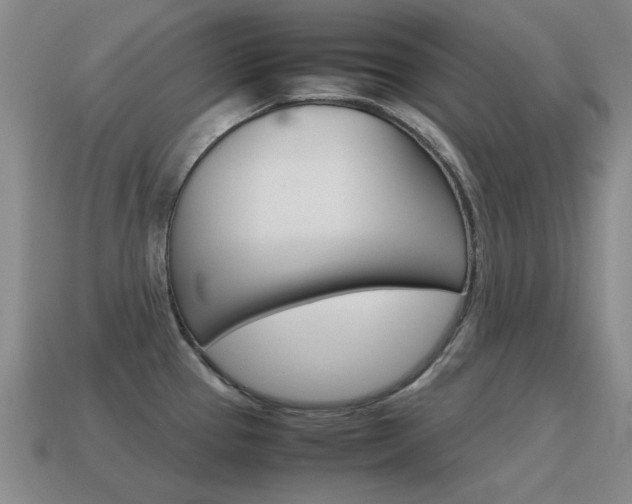 X0000115601337200911100944