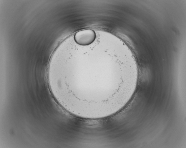 X0000115601338200911100944