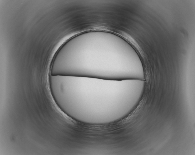 X0000115601339200911100944