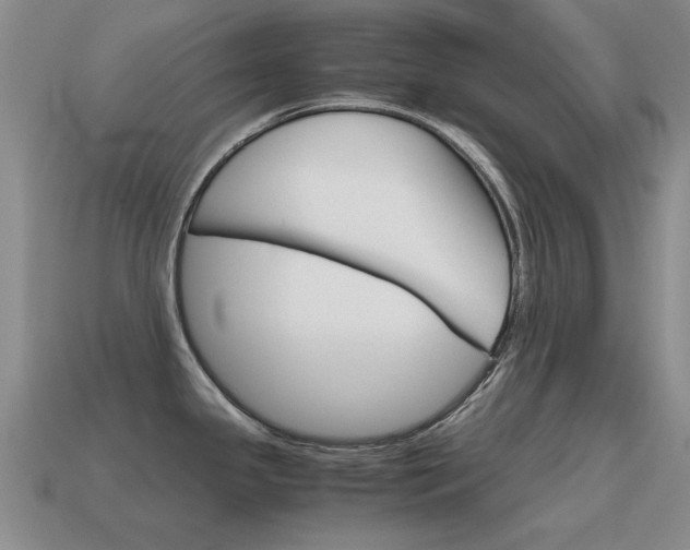 X0000115601341200911100944