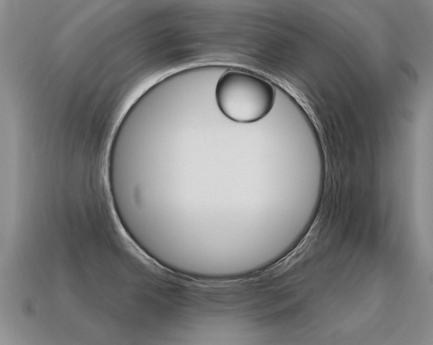 X0000115601342200911100944