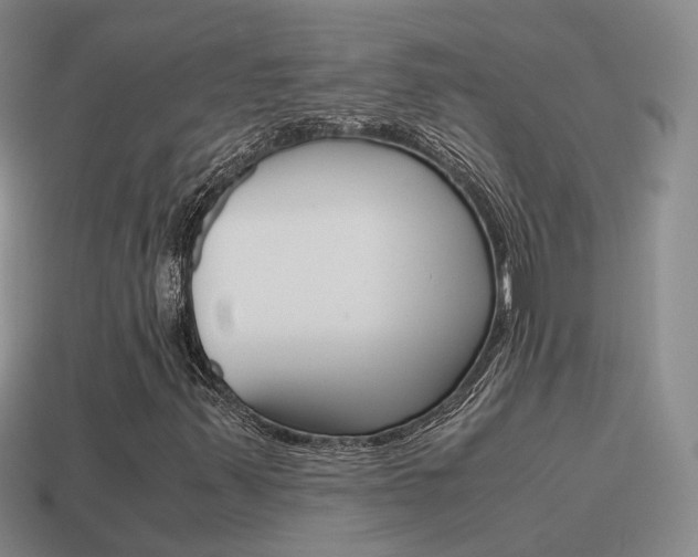 X0000115601347200911100943