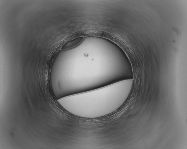 X0000115601348200911100943