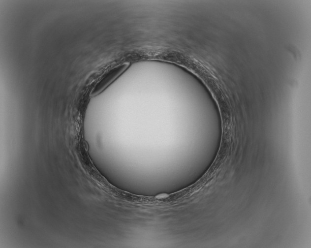 X0000115601349200911100943
