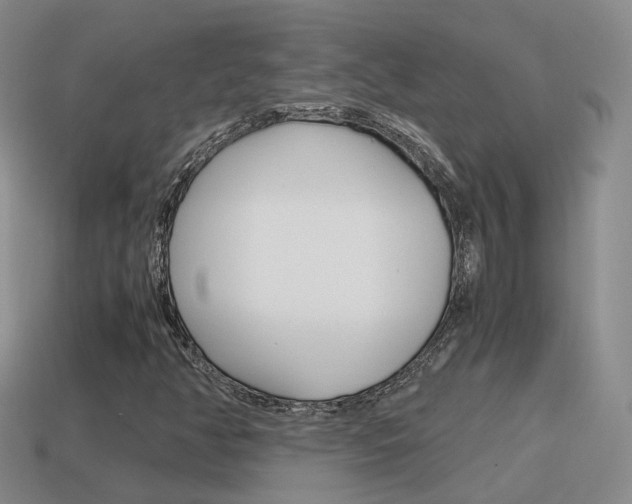 X0000115601350200911100943