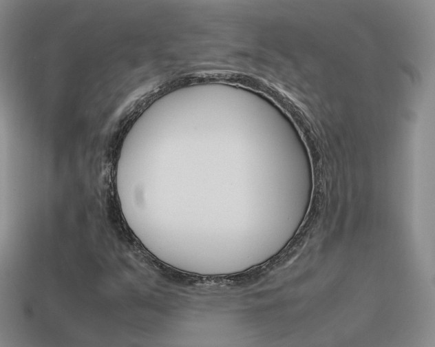 X0000115601351200911100943