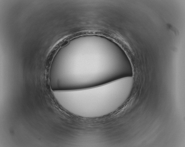 X0000115601352200911100943