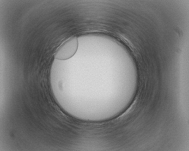 X0000115601353200911100943