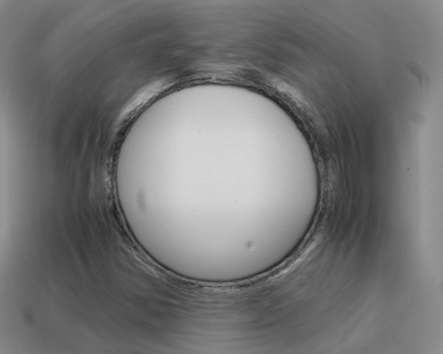 X0000115601354200911100943