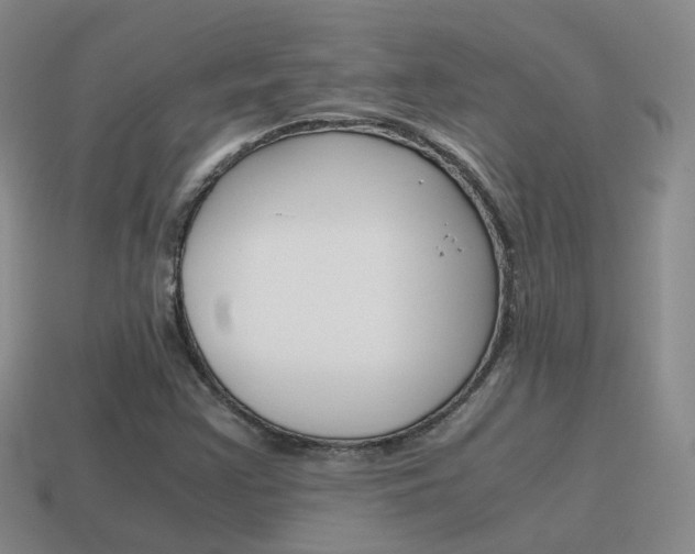 X0000115601355200911100943