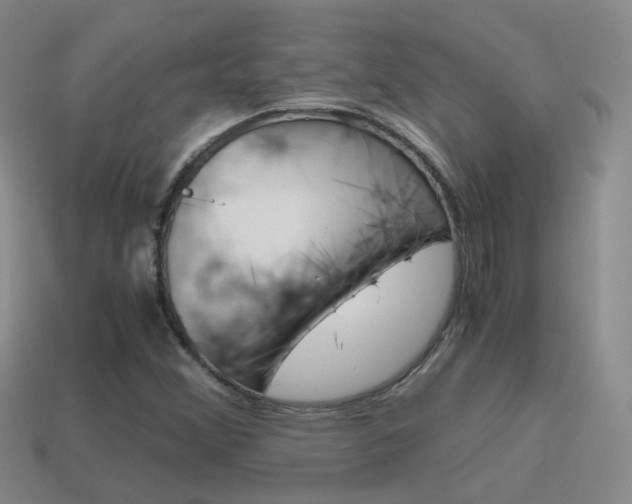 X0000115601356200911100943