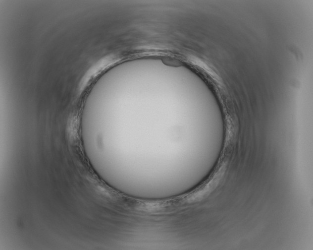 X0000115601357200911100943