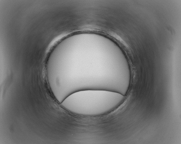 X0000115601358200911100943