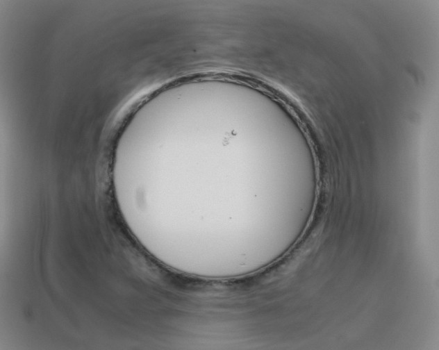 X0000115601359200911100943