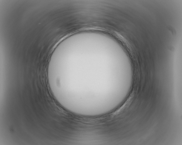 X0000115601361200911100943