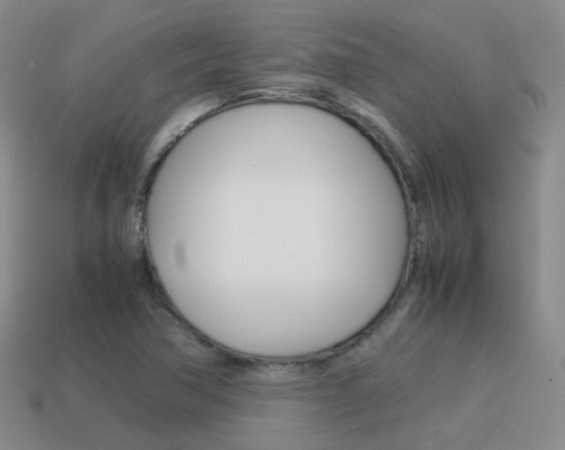 X0000115601362200911100943