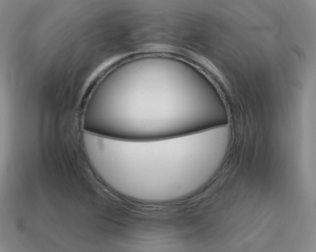 X0000115601364200911100943