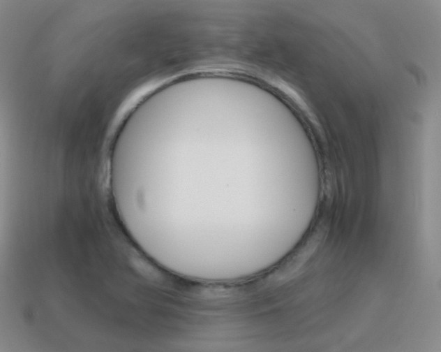 X0000115601366200911100943