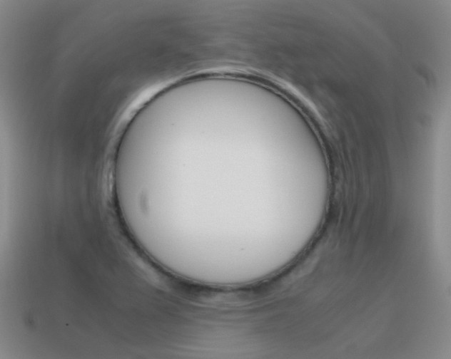 X0000115601367200911100943