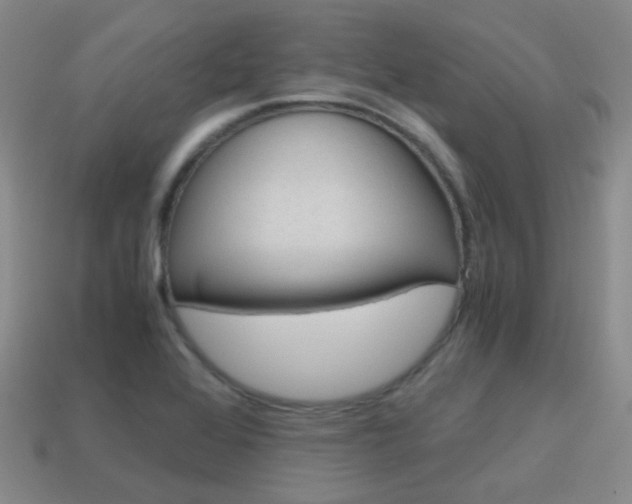 X0000115601368200911100943