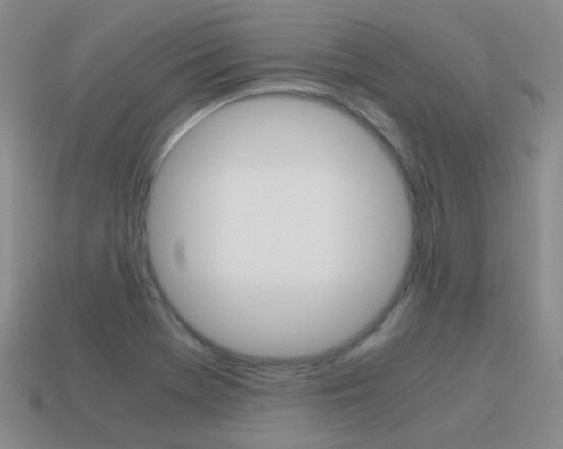 X0000115601369200911100943