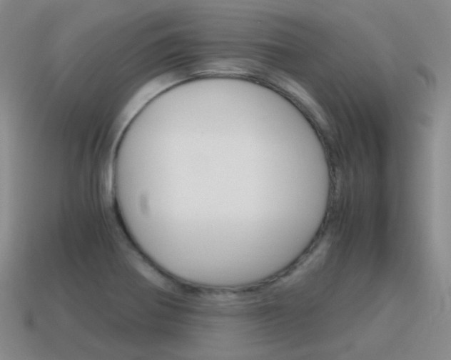 X0000115601370200911100943