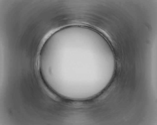 X0000115601371200911100943