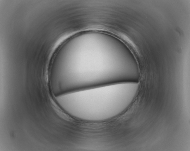 X0000115601372200911100943