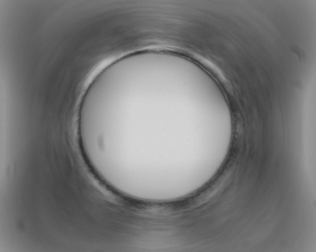 X0000115601375200911100943