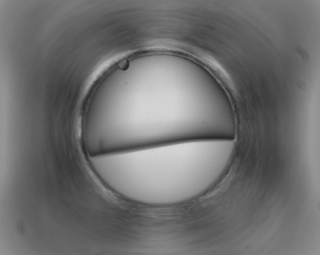 X0000115601376200911100943