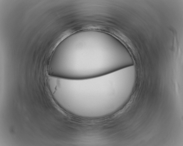 X0000115601377200911100943