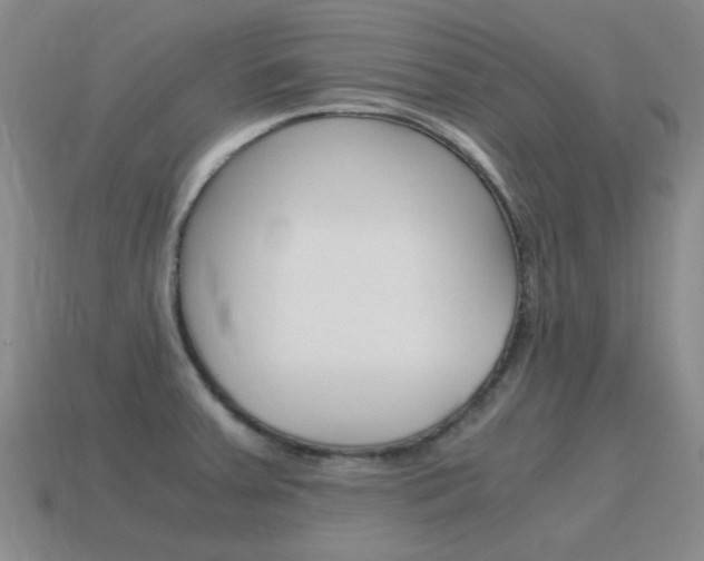 X0000115601379200911100943