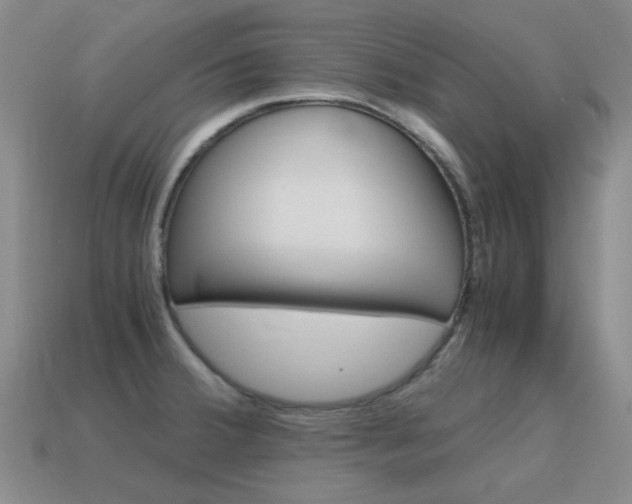 X0000115601380200911100943