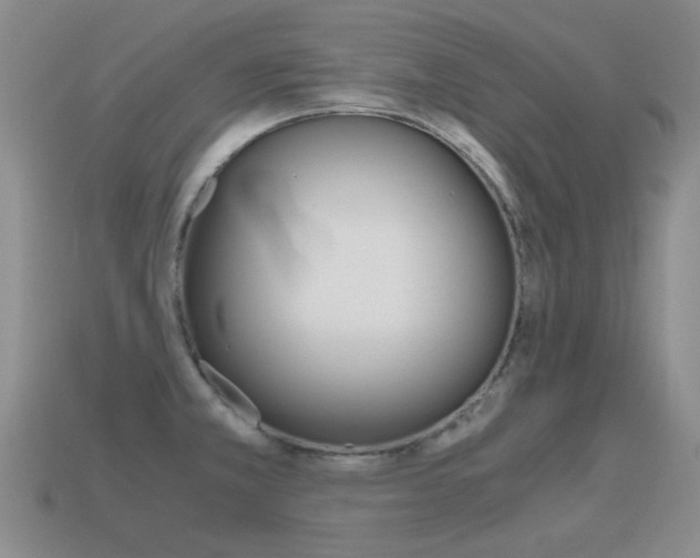 X0000115601381200911100943