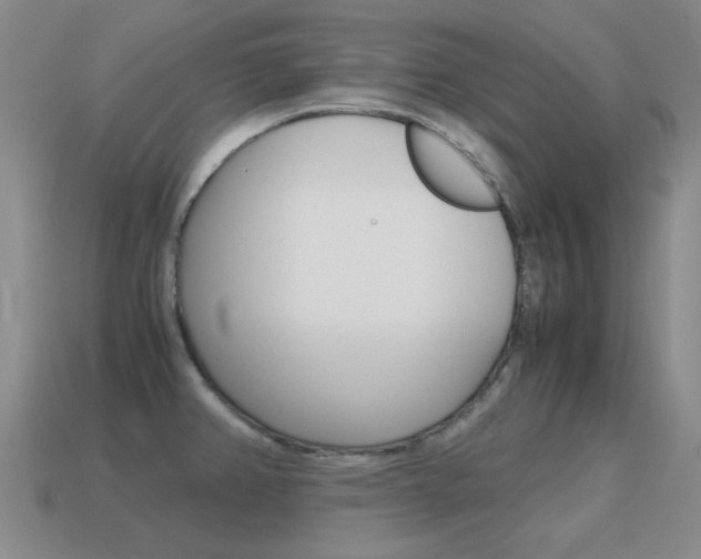 X0000115601382200911100943