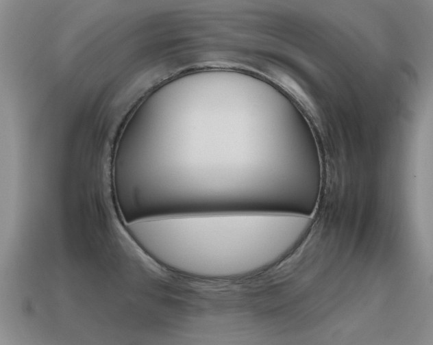 X0000115601384200911100943