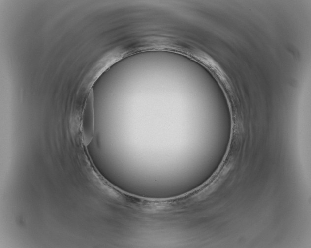 X0000115601385200911100943