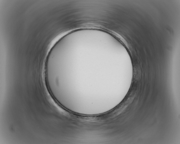 X0000115601387200911100943