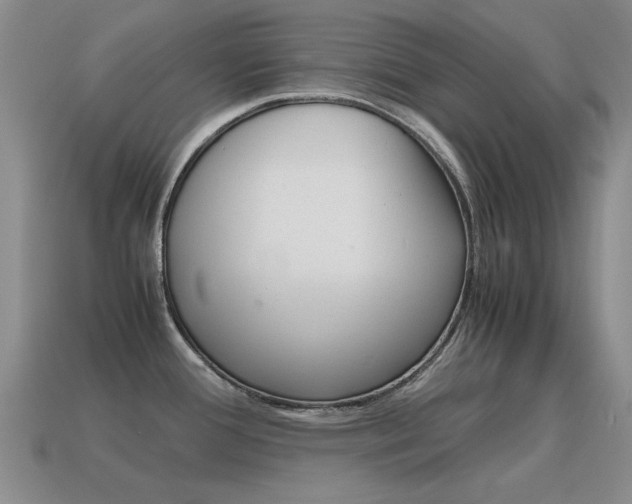 X0000115601388200911100943