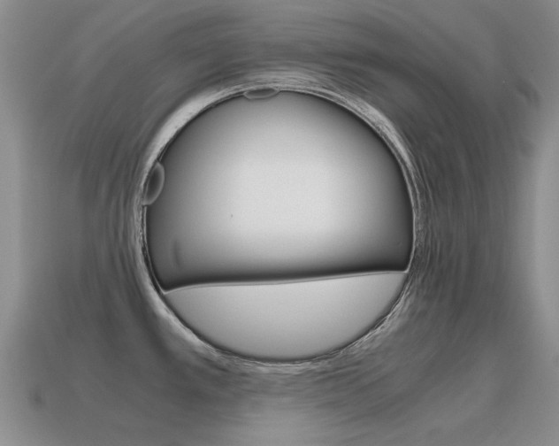 X0000115601389200911100943