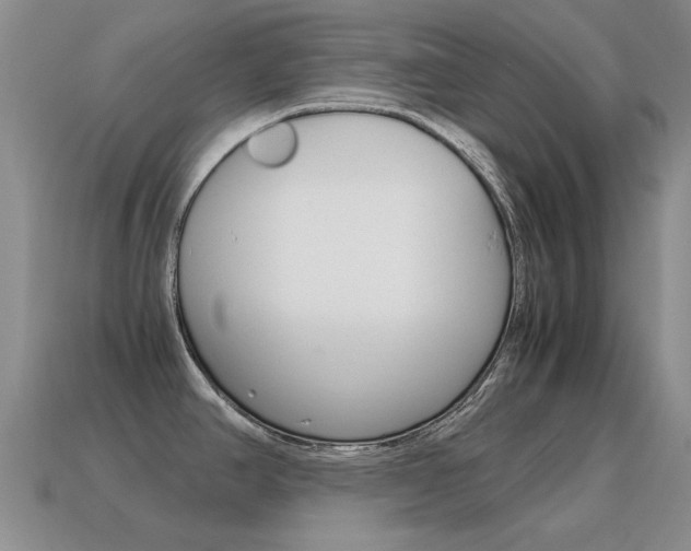 X0000115601390200911100943