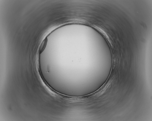X0000115601391200911100943